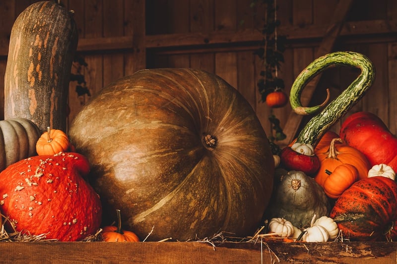 Pumpkin Risotto
