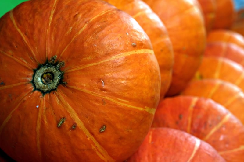 Fall Harvest